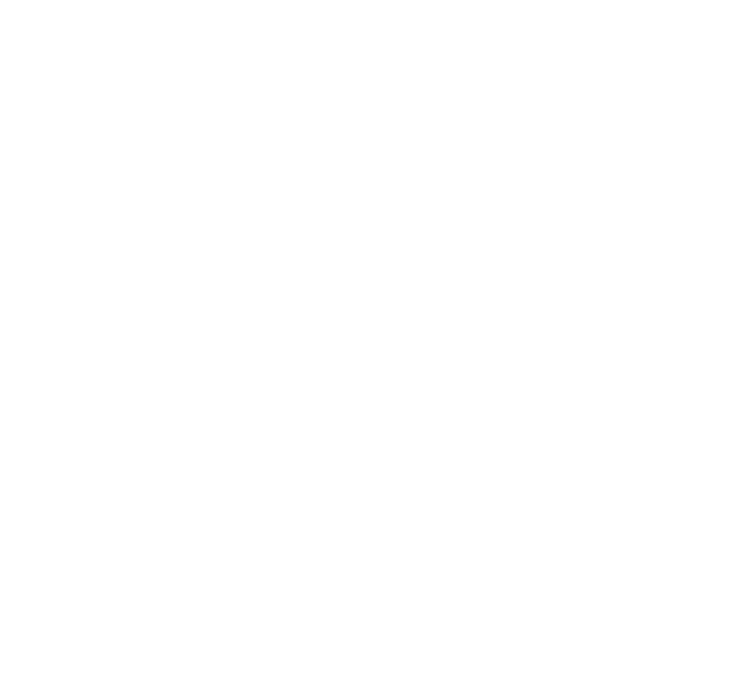 Ilustración ASCII de un escudo